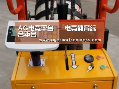 AG滚球案例展示三