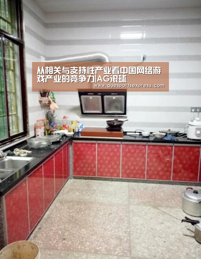 从相关与支持性产业看中国网络游戏产业的竞争力|AG滚球(图1) AG亚洲